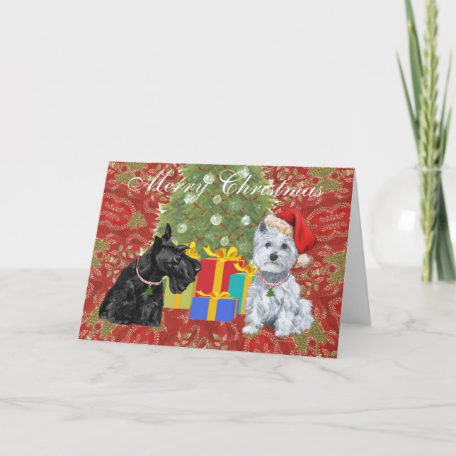 Scottish Terrier Greeting Card (Front)
