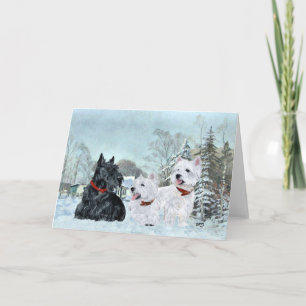 Scottish Terrier Greeting Card