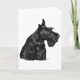 Scottish Terrier Greeting Card