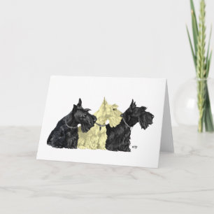 Scottish Terrier Greeting Card