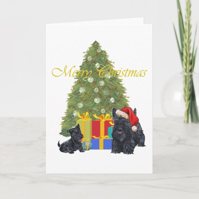 Scottish Terrier Greeting Card (Front)