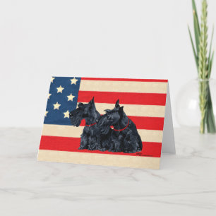 Scottish Terrier Greeting Card