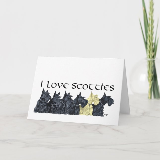 Scottish Terrier Greeting Card (Front)