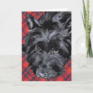 Scottish Terrier Greeting Card