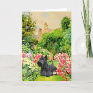 Scottish Terrier Greeting Card