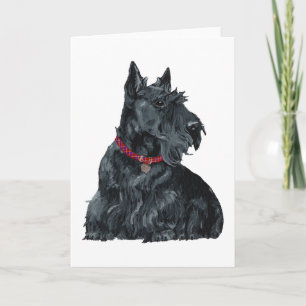 Scottish Terrier Greeting Card
