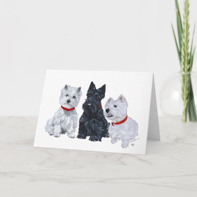 Scottish Terrier Greeting Card (Front)