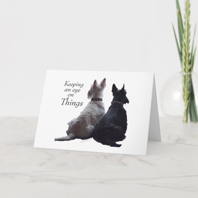 Scottish Terrier Greeting Card (Front)