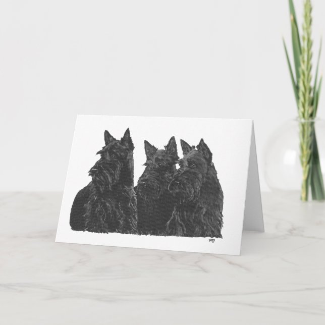 Scottish Terrier Greeting Card (Front)