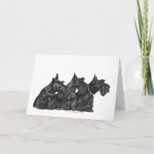 Scottish Terrier Greeting Card