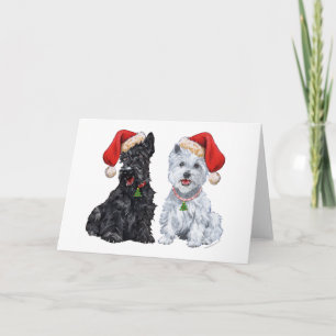 Scottish Terrier Greeting Card