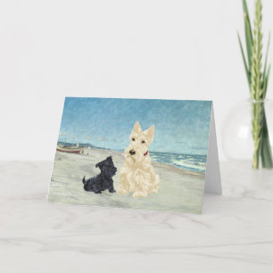 Scottish Terrier Greeting Card