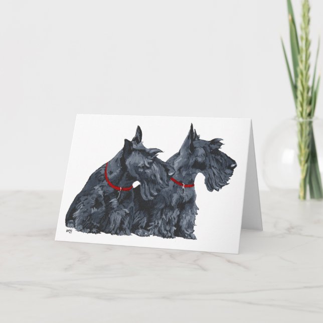 Scottish Terrier Greeting Card (Front)