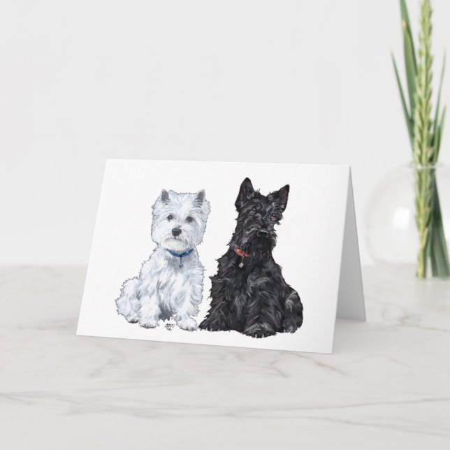 Scottish Terrier Greeting Card (Front)