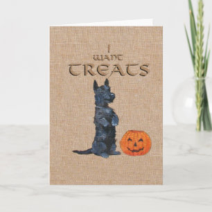 Scottish Terrier Halloween Greeting Card