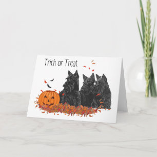 Scottish Terrier Halloween Greeting Card