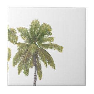 Scottish Terrier Hawaiian Design Ceramic Tile