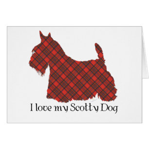 Scottish Terrier Hepburn Tartan