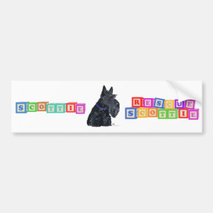 Scottish Terrier in a Blue Collar Bumper Sticker