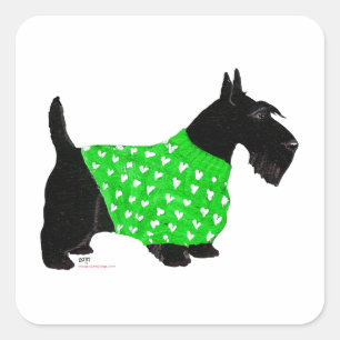 Scottish Terrier in a Sweater Square Sticker
