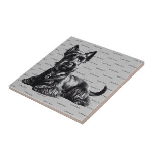 Scottish Terrier in Ceramic Tile