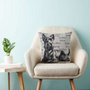 Scottish Terrier in Cushion