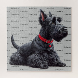 Scottish Terrier in Jigsaw Puzzle
