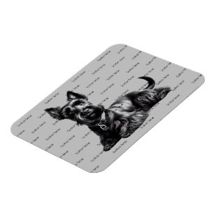 Scottish Terrier in Magnet