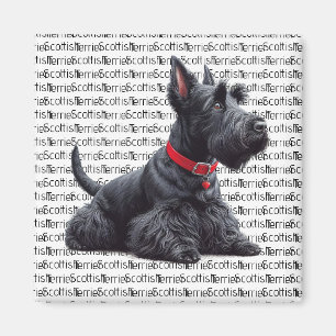 Scottish Terrier in Magnet