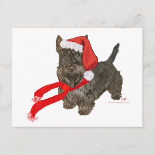 Scottish Terrier is Santa's Helper Holiday Postcard