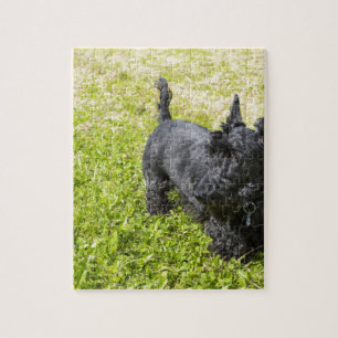 Scottish Terrier Jigsaw Puzzle