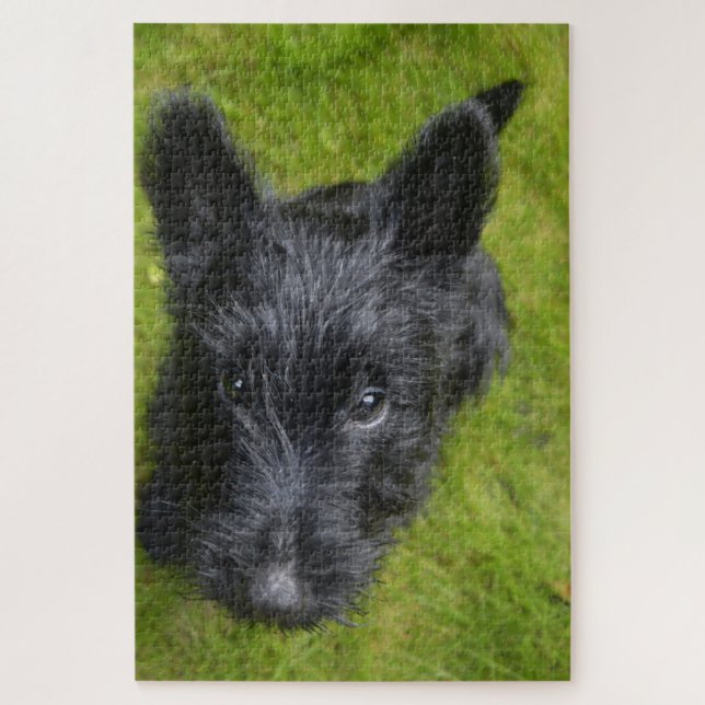 Scottish Terrier Jigsaws. Jigsaw Puzzle (Vertical)
