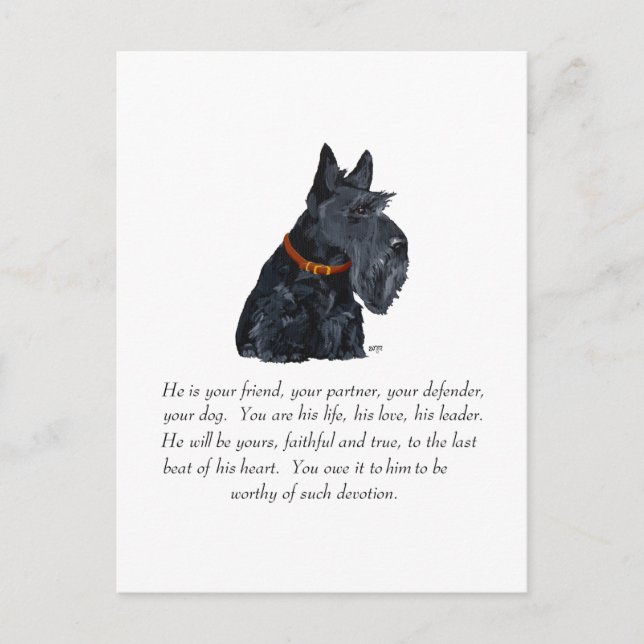 Scottish Terrier Keepsake Postcard (Front)