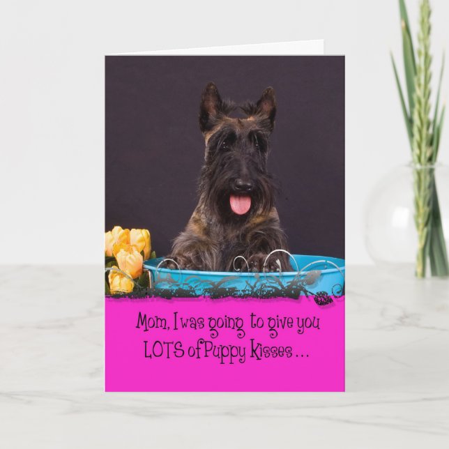Scottish Terrier Licker License Card (Front)