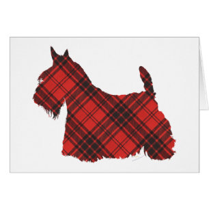 Scottish Terrier Maxwell Tartan