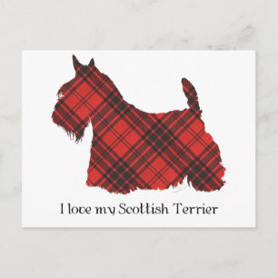 Scottish Terrier Maxwell Tartan Postcard