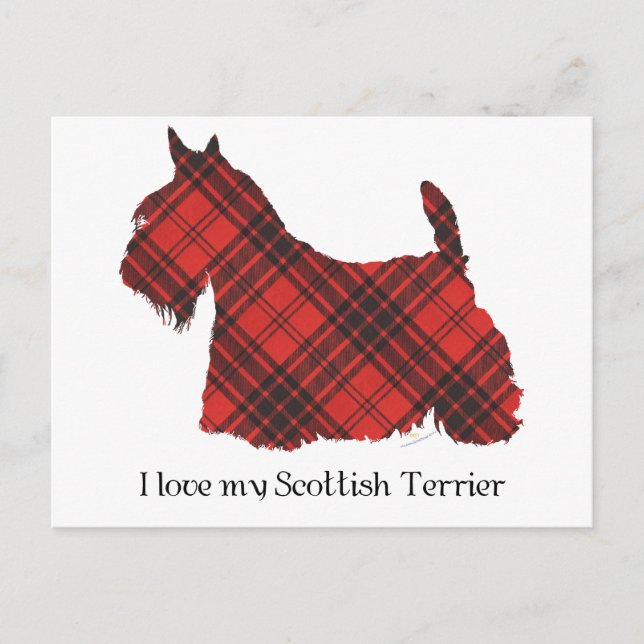 Scottish Terrier Maxwell Tartan Postcard (Front)