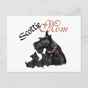 Scottish Terrier Mum & Pups for Mother's Day Postcard