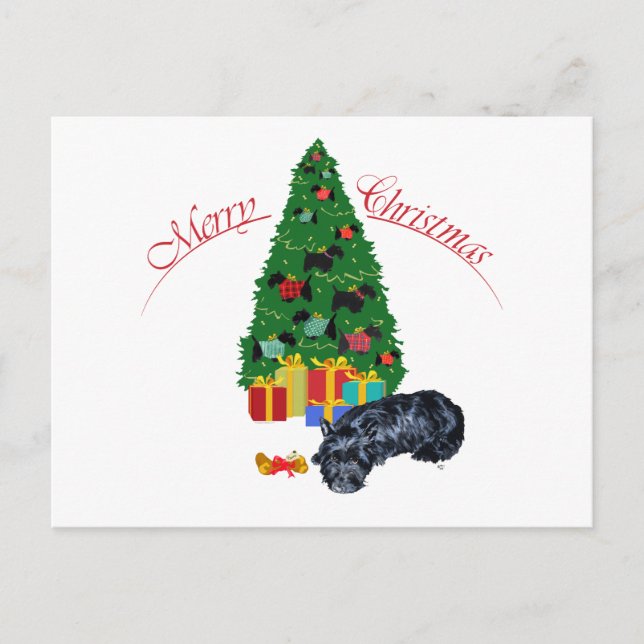 Scottish Terrier Nap Christmas Holiday Postcard (Front)