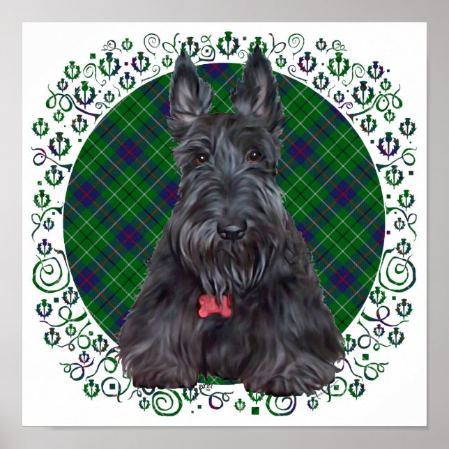 Scottish Terrier on Tartan Poster (Front)