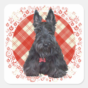 Scottish Terrier on Tartan Square Sticker