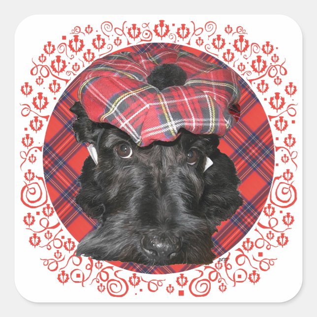 Scottish Terrier on Tartan Square Sticker (Front)