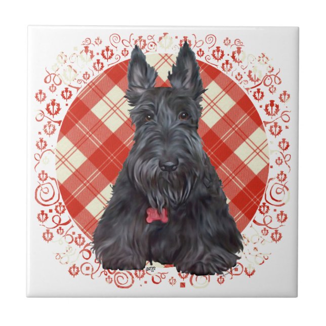 Scottish Terrier on Tartan Tile (Front)