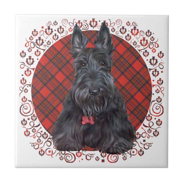Scottish Terrier on Tartan Tile (Front)
