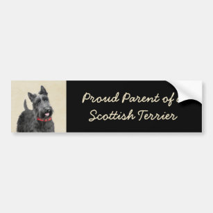 Scottish Terrier Painting - Cute Original Dog Art Bumper Sticker