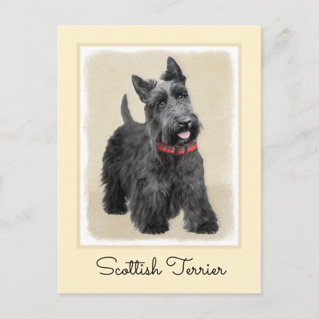Scottish Terrier Painting - Cute Original Dog Art Postcard (Front)