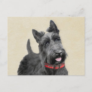 Scottish Terrier Painting - Cute Original Dog Art Postcard