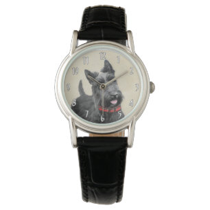 Scottish Terrier Painting - Cute Original Dog Art Watch