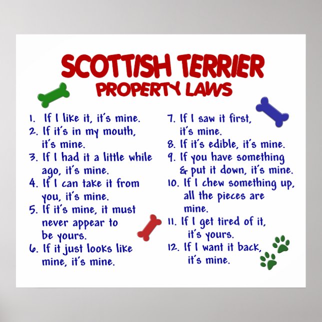 SCOTTISH TERRIER PL2 POSTER (Front)
