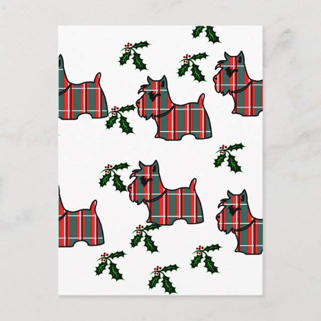 SCOTTISH TERRIER POSTCARD (Front)